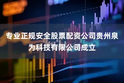 专业正规安全股票配资公司贵州泉为科技有限公司成立
