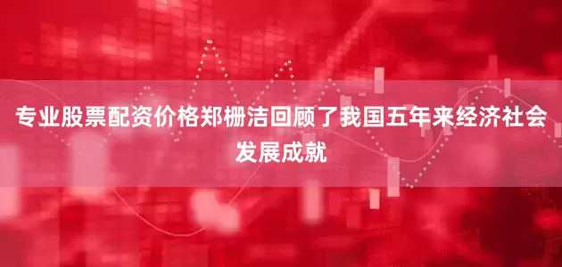 专业股票配资价格郑栅洁回顾了我国五年来经济社会发展成就