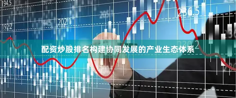 配资炒股排名构建协同发展的产业生态体系
